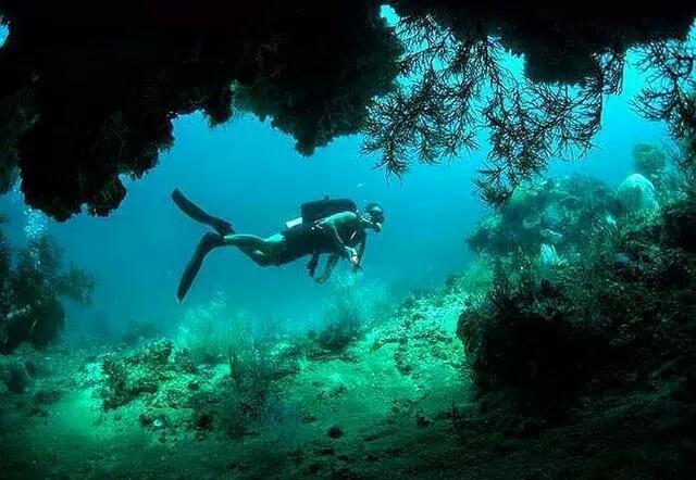 搅翻墨海舞自欢